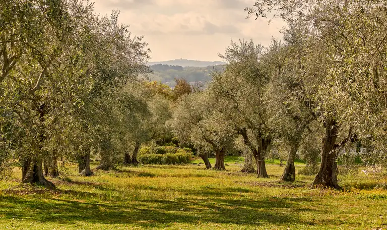 production.media.dcx.clubmed-3